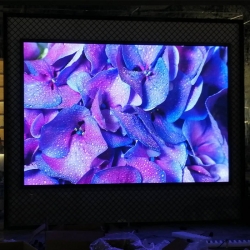 涪陵酒客天堂P2.5